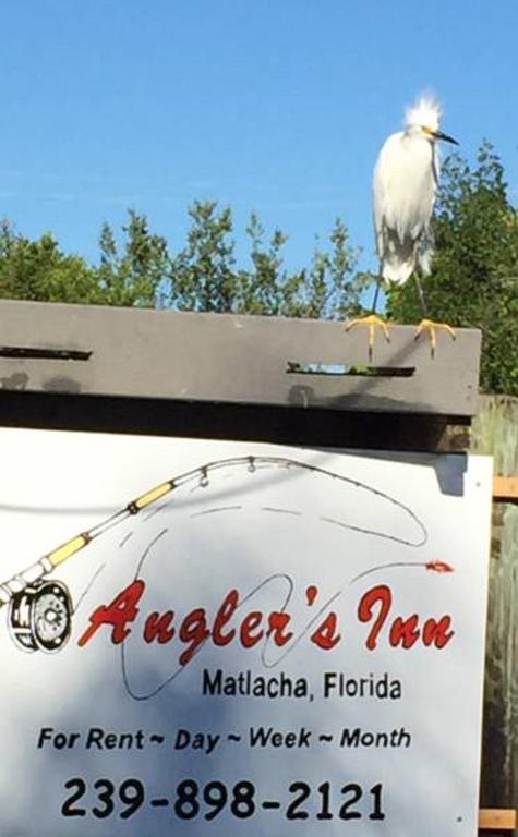 Angler'S Inn Matlacha Buitenkant foto